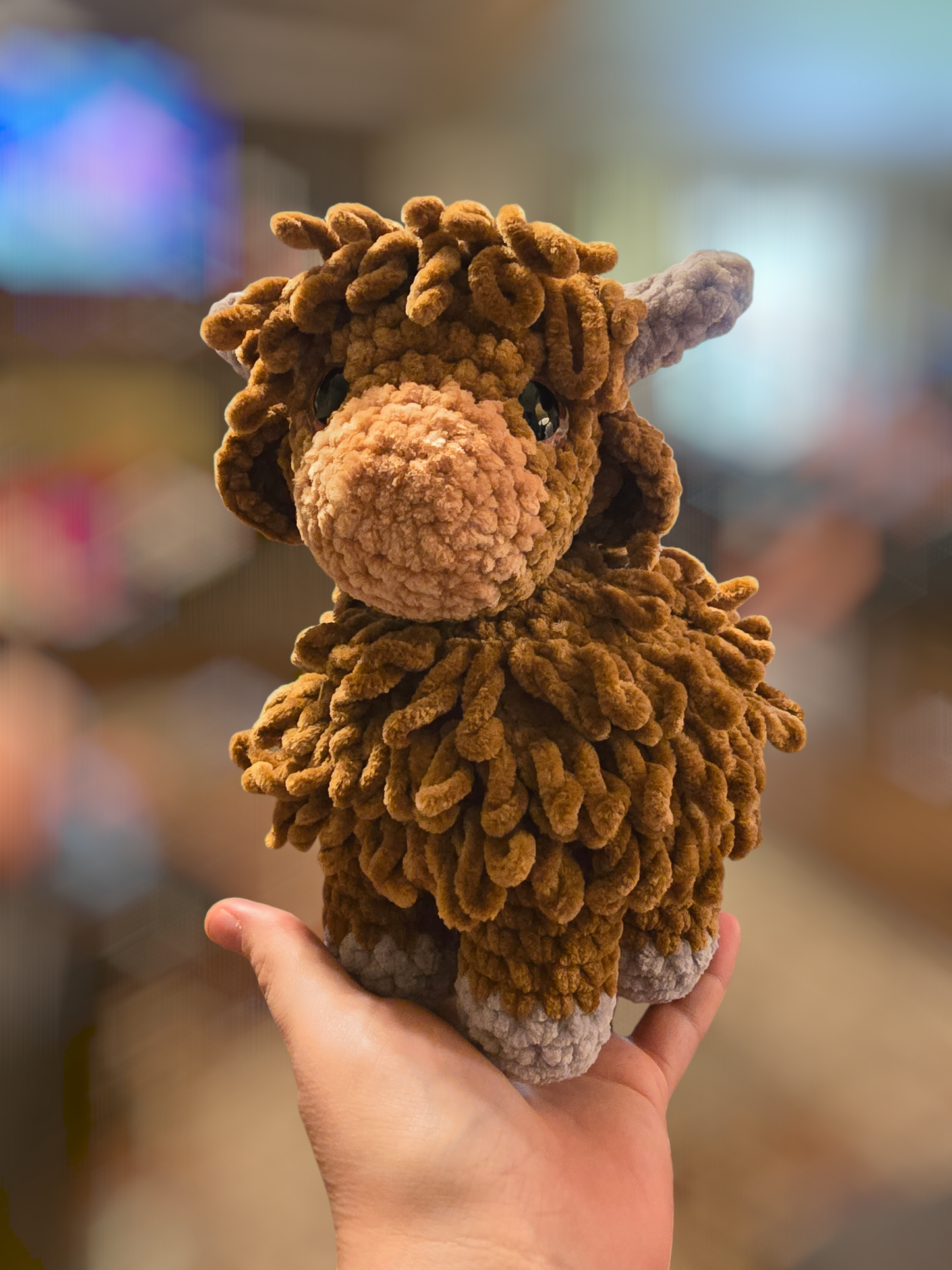 Highland cow