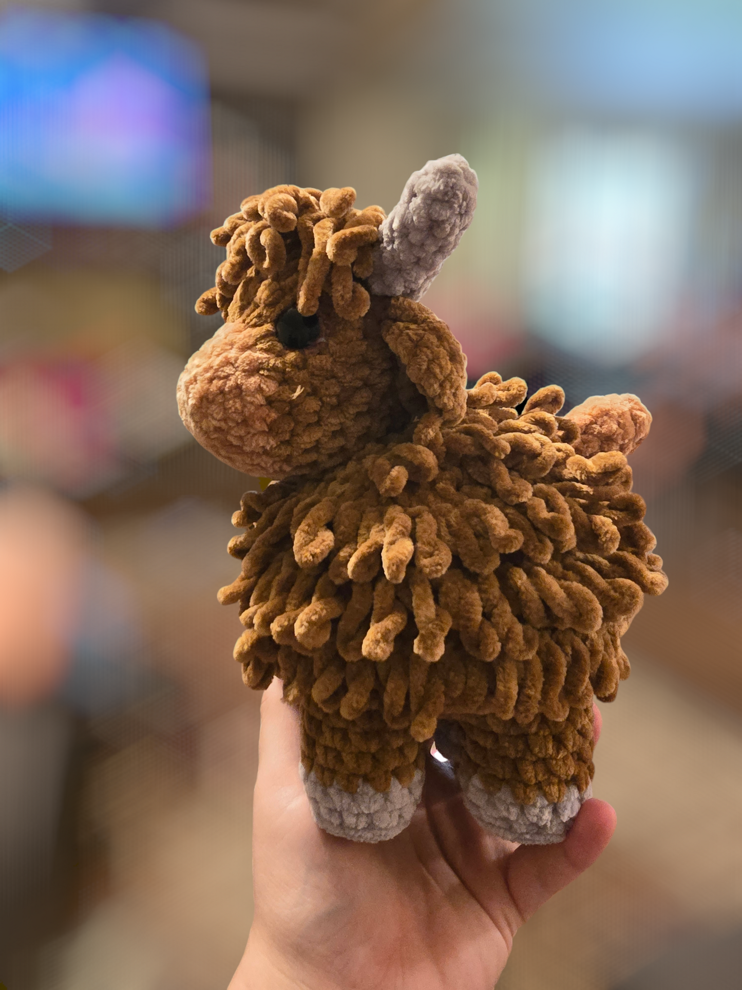 Highland cow