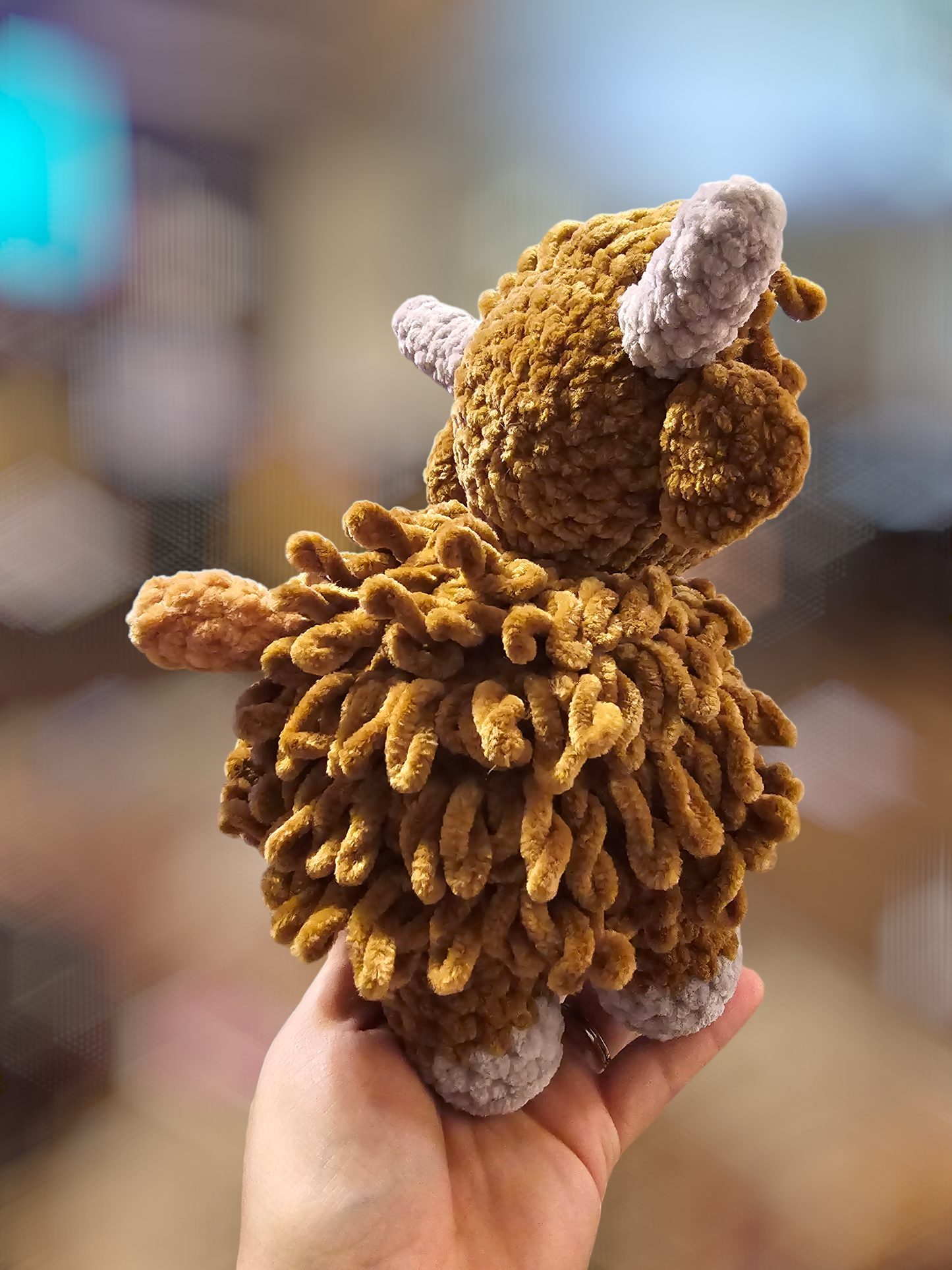 Highland cow